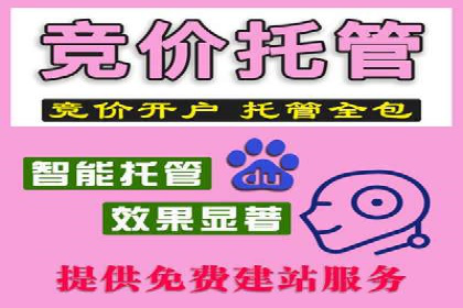 百度信息流广告的定向投放策略及效果评估